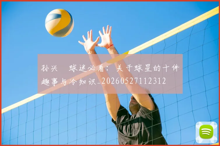 孙兴慜球迷必看:关于球星的十件趣事与冷知识_20260527112312
