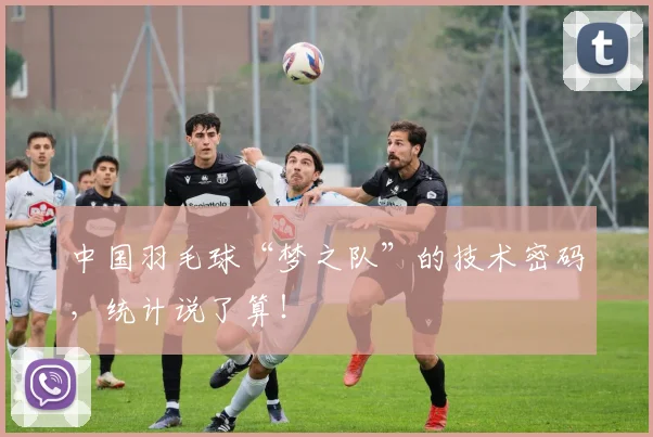 中国羽毛球“梦之队”的技术密码，统计说了算！