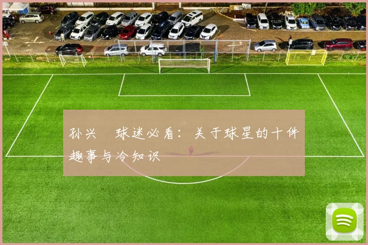 孙兴慜球迷必看:关于球星的十件趣事与冷知识